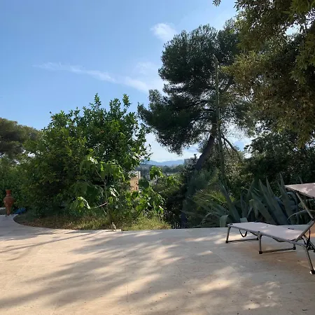 Maison De Dans La Brise Des Pins